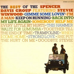 Пластинка Best Of The Spencer Davis Group Featuring Stevie Winwood The Best Of The Spencer Davis Group Featuring Stevie Winwood